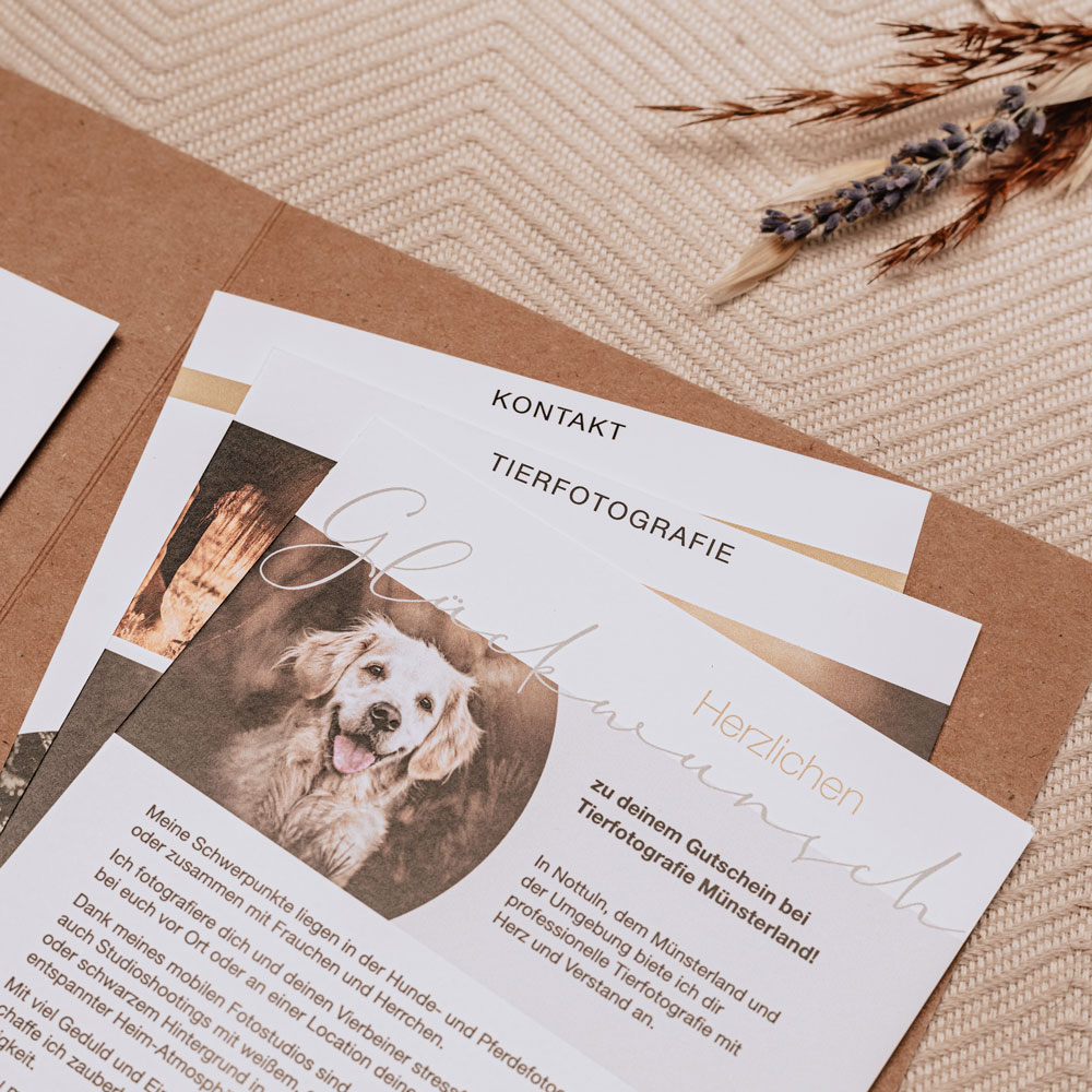 Tierfotografie Münsterland Gutschein