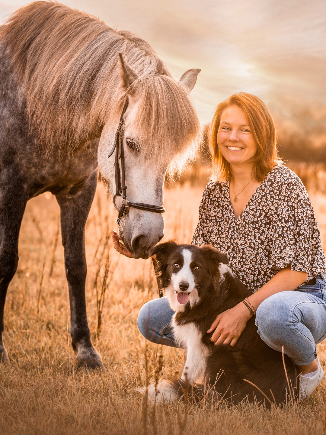 Pferd Hund und Mensch Fotografie