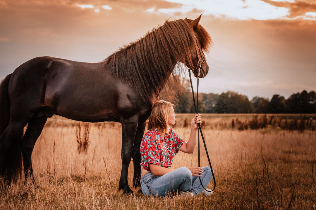 Pferd und Mädchen im Sonnenuntergang